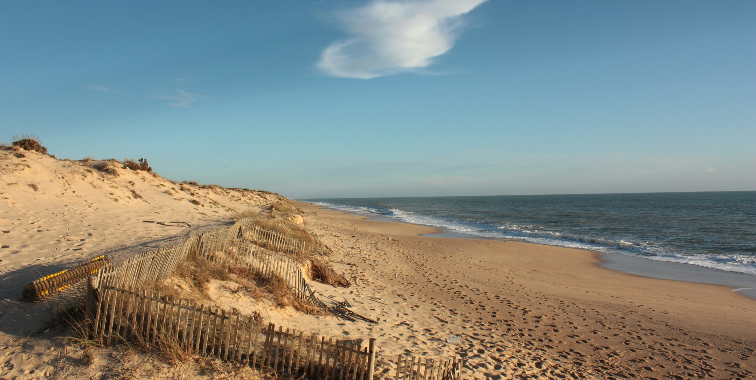 A tranquil Algarve beachscape featuring golden sands, gentle waves, and protective dunes, perfect for relaxation or exploration.